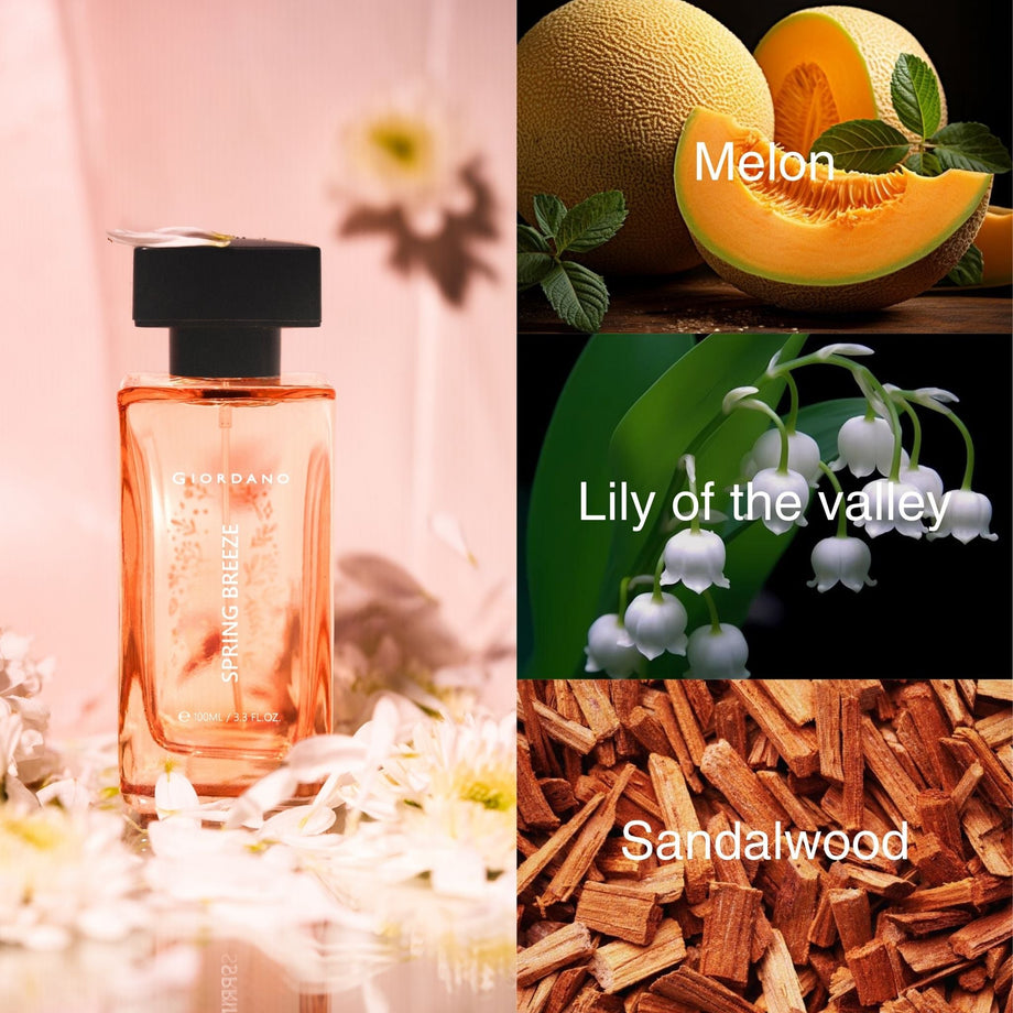 Giordano Spring Breeze Eau de Parfum 100ml – BEAUTE LUXE